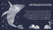 A Guide to Whales - Education A Guide to Whales - Education