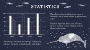 A Guide to Whales - Education A Guide to Whales - Education
