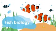 Bright Fish Biology | Free Google Slide Theme