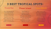 Bright Orange Tropical | Free Google Slide Theme