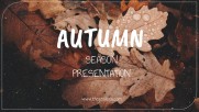 Cozy Vintage Autumn - Seasons Cozy Vintage Autumn - Seasons