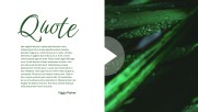Green Simple Nature - Marketing Green Simple Nature - Marketing