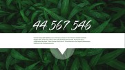 Green Simple Nature - Marketing Green Simple Nature - Marketing