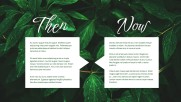 Green Simple Nature - Marketing Green Simple Nature - Marketing