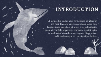 A Guide to Whales - Education A Guide to Whales - Education