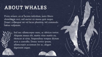 A Guide to Whales - Education A Guide to Whales - Education