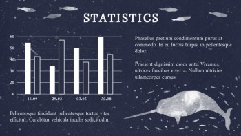 A Guide to Whales - Education A Guide to Whales - Education