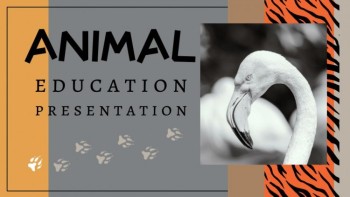 Animal Education - Animal