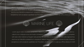 Black Minimalist Ocean - Education Black Minimalist Ocean - Education