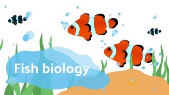 Bright Fish Biology - Biology