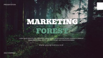 Dark Forest Marketing - Forest