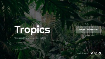 Elegant Bright Tropics - Tropical