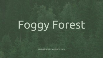 Foggy Forest - Forest