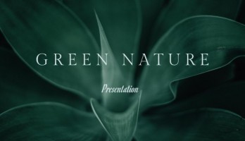 Green Nature - Nature