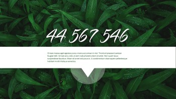 Green Simple Nature - Marketing Green Simple Nature - Marketing