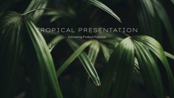 Harmonious Tropical - Tropical